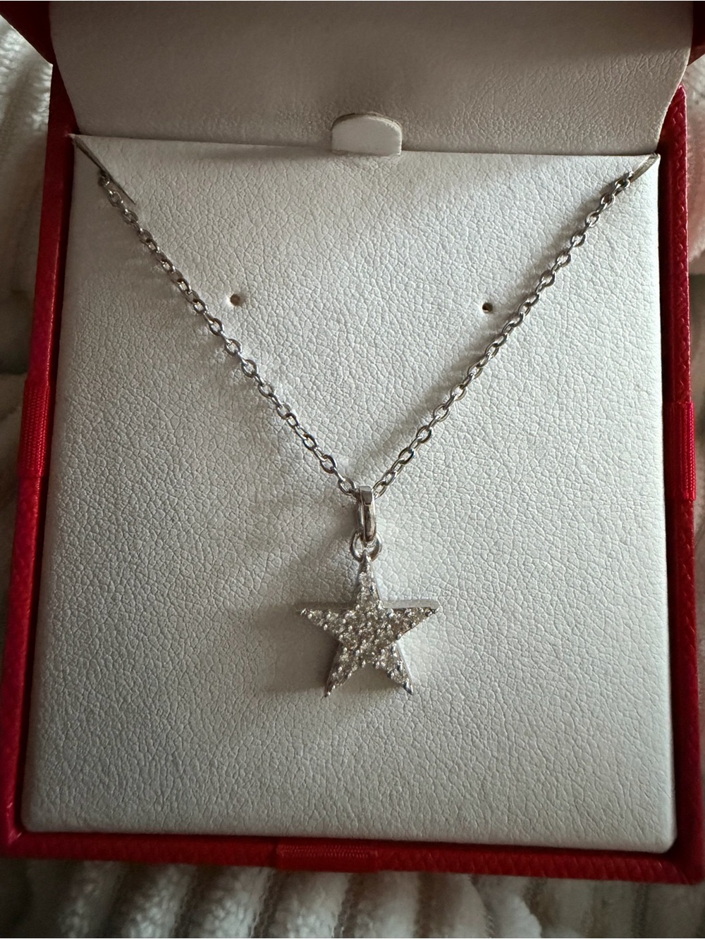 ⭐ North Star Necklace
925 Sterling Silver